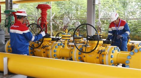 PGN Jamin Salurkan Gas Bumi Di Jawa Hingga Sumatera Sesuai Ketetapan