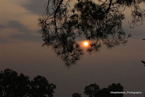 Netarhat Jharkhand Journey From Ranchi To Netarhat Timings