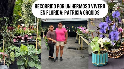 Gran Variedad De Plantas Patricia Orquids Hermoso Vivero Familiar