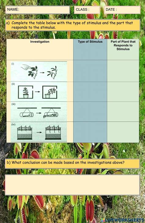 Response To Stimuli Plants