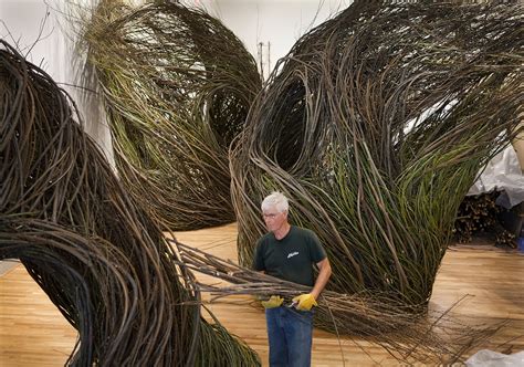 Patrick Dougherty Lintreccio Vorticoso Dei Rami Botanical Artist