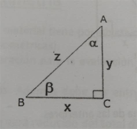 ¿cuál De Las Siguientes Opciones Es Falsa A Sen B Y Zb Cos A Y Zc Tg A Y Xd Cos B X Z