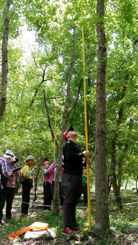 訊息專區 歷史訊息 最新消息 走進森林 「學‧森林」－森林環境教育課程工作坊