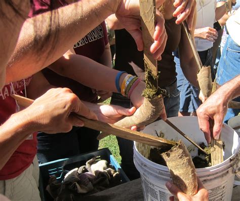 Biodynamic Farm Story Cosmic Compost British Columbia Organic Grower