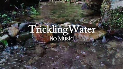 1 Hours Of Trickling Water Sounds With No Music Relaxing Nature