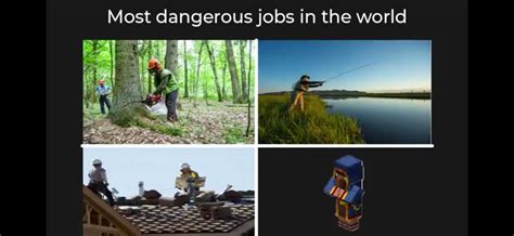 Most dangerous job in minecraft : r/MinecraftMemes