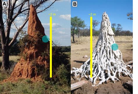 [PDF] Solar-powered ventilation of African termite mounds | Semantic Scholar