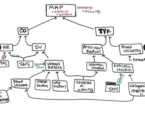 Cardiac Mean Arterial Pressure and Cardiac Output and Total Peripheral ...