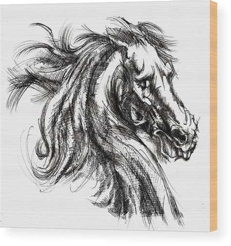 Horse Face Sketch at PaintingValley.com | Explore collection of Horse ...