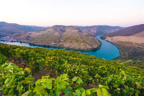 3-Day Tour of Porto + Douro Valley Wine Region - Portugal Magik