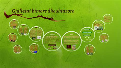 Gjallesat bimore dhe shtazore by qazim qorri on Prezi