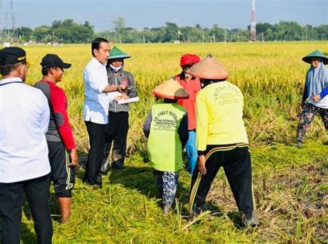 Rakyat Makin Cerdas Nih Litbang Kompas Kepuasan Terhadap