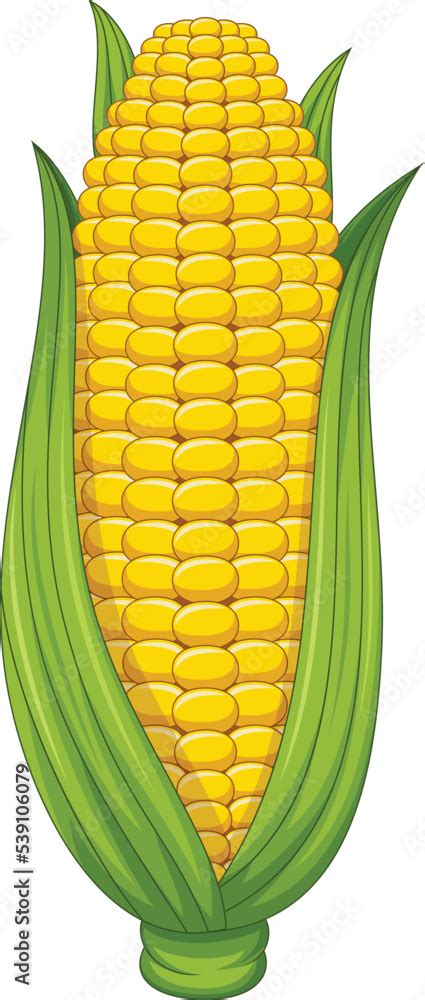 Corn On The Cob Clipart