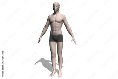 3d Human Model Pictures Of Human Reference For 3d Modeling Man And