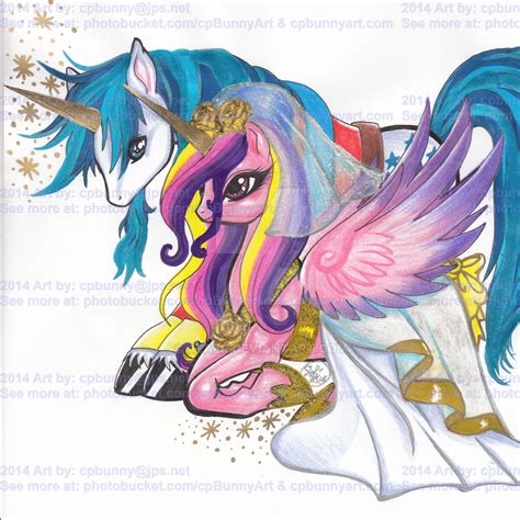 Wedding Shining Armor Princess Cadance Metallics by alaer on DeviantArt