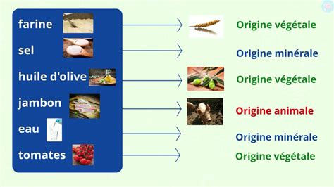 L origine des aliments en classe de CP CE1 CE2 Maître Lucas