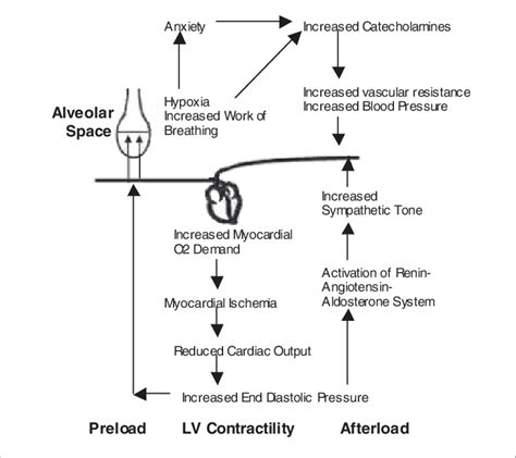 Pulmonary Edema Pathophysiology