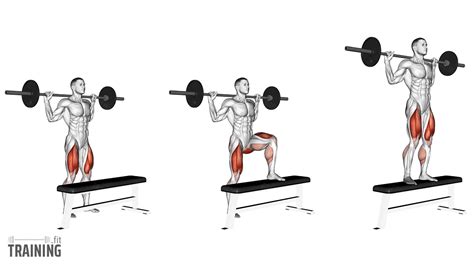 Barbell Step-Ups - Instructions, Information & Alternatives » Training.fit