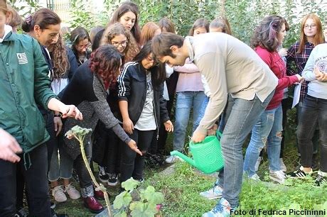 Molfetta Al Classico Piantare Alberi Per Salvare Il Pianeta