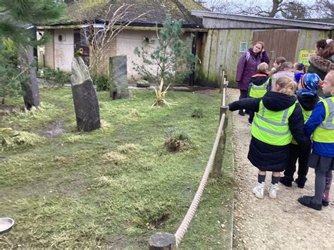 Blackpool Zoo Visit Layton Primary School