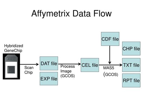 Ppt Introduction To Affymetrix Microarrays Powerpoint Presentation