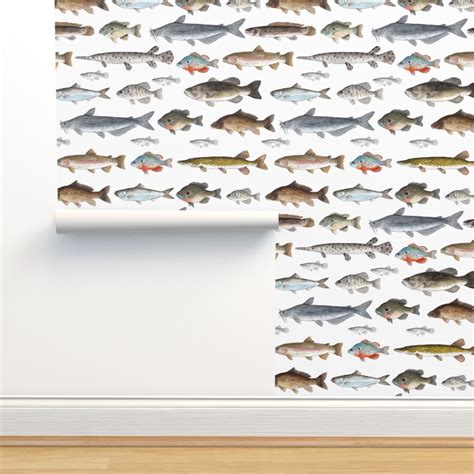 Large Scale - A Few Freshwater Fish Wallpaper | Spoonflower