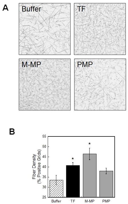 Differential Contributions Of Monocyte And Platelet Derived