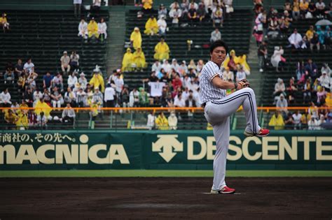 日職》阪神甲子園球場百週年睽違4年再辦「台灣日」 林威助＋中職6女孩現身 Tsna體育新聞團隊