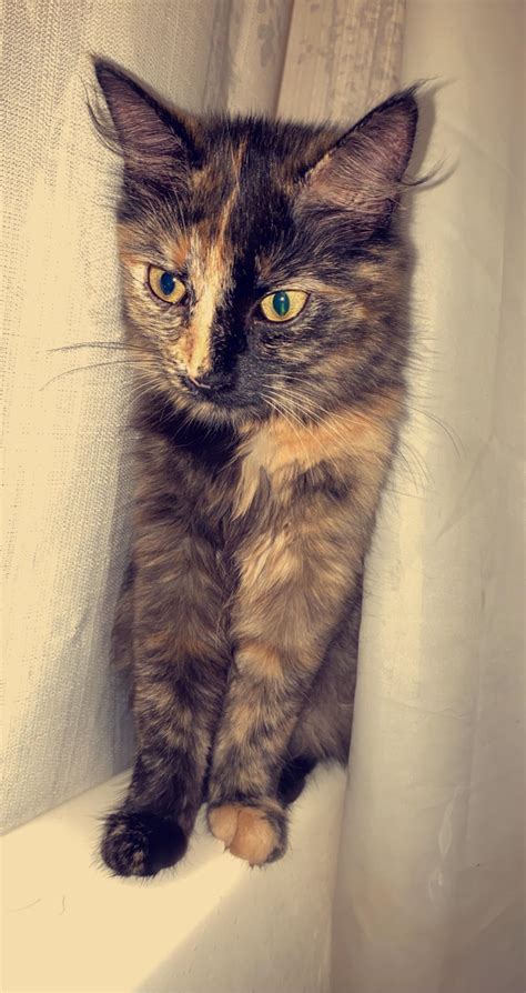 Crazy Daisy! : r/pics