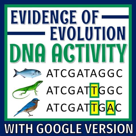 Molecular DNA Evidence of Evolution Activity - Flying Colors Science