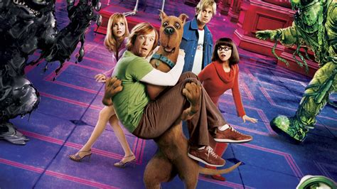 Download Shaggy Rogers Velma Dinkley Fred Jones Daphne Blake Scooby Doo