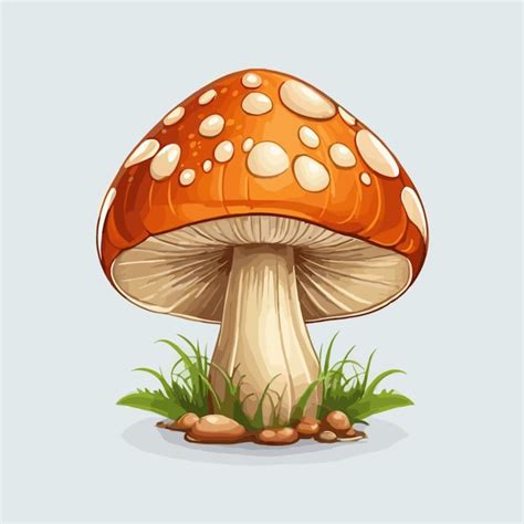 Premium Vector Mushroom Illustration Vector