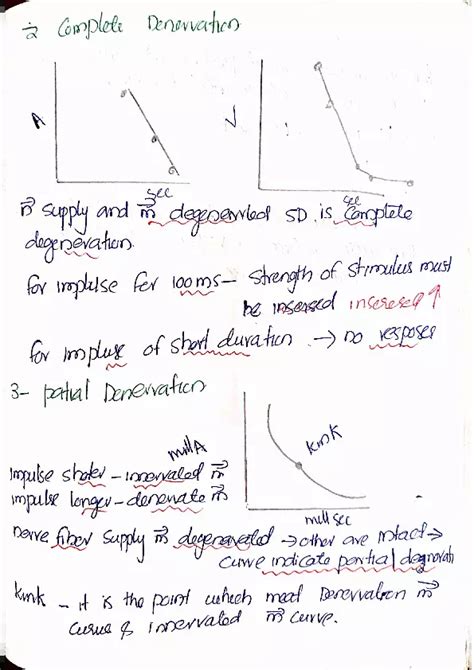 Strength Duration Curve Edubirdie