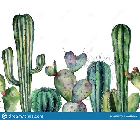 Modello Del Cactus Dell Acquerello Ornamento Senza Cuciture Disegnato A