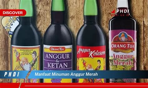 Temukan 7 Manfaat Minuman Anggur Merah Yang Wajib Kamu Ketahui