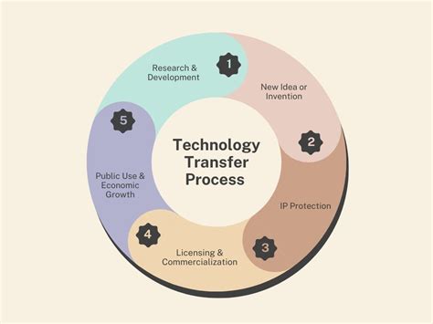 technology transfer process  american university  cairo