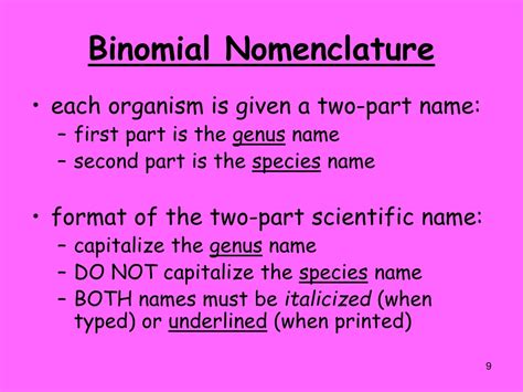 Ppt Biological Classification Powerpoint Presentation Free Download