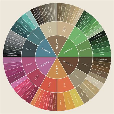 The whisky flavour wheel poster by hoolst design – Artofit