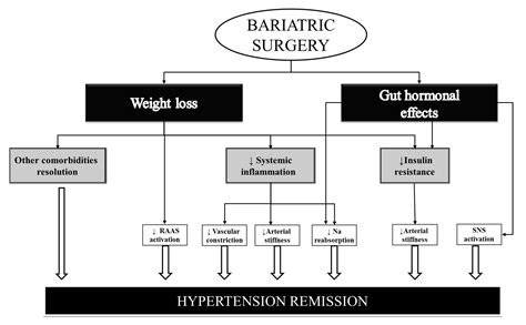 Jcm Free Full Text Bariatric Surgery And Hypertension