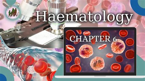 Hematology Mcqs With Answer And Explanations Chapter Lab Tests Guide