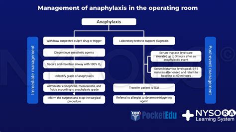 Management Anaphylaxis In Operating Room Nysora Nysora