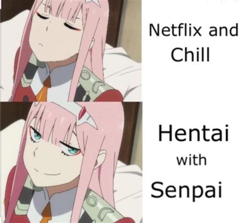 I Prefer Anime Of Zero Two NOT Hentai R ZeroTwo