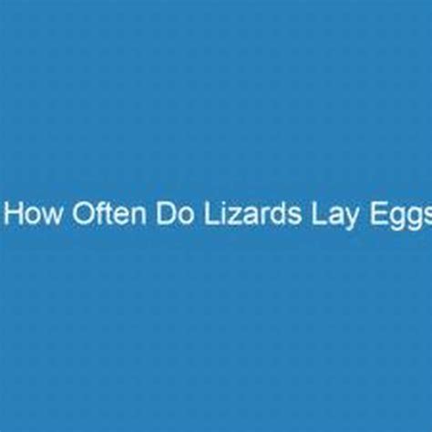 How often do reptiles lay eggs? - DIY Seattle