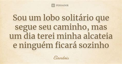 Sou Um Lobo Solitário Que Segue Seu Elandris Pensador