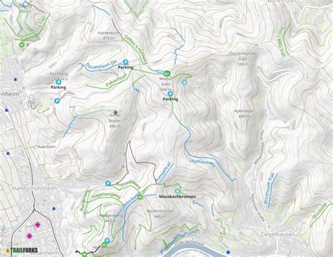 Wei Er Stein Heidelberg Mountain Biking Trails Trailforks