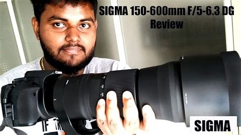 Sigma Contemporary Real World Review The Best Wildlife