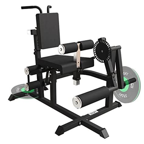 Top 10 Picks Best Leg Curl Machines Of 2024, Tested & Reviewed - Glory ...