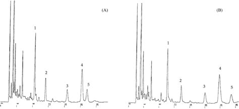 Chromatograms Of Derivatized Extracts From Human Brain Tissues Spiked