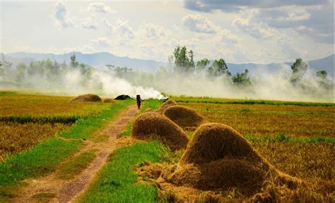 Hình ảnh Làng Quê Việt Nam Tổng Hợp Hình ảnh Làng Quê Việt Nam đẹp