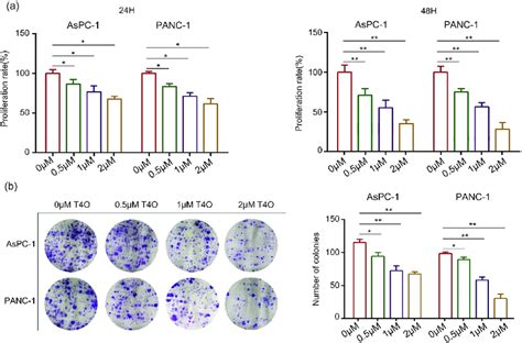 T4o Inhibits Pc Cell Proliferation In Vitro A Aspc 1 And Panc 1